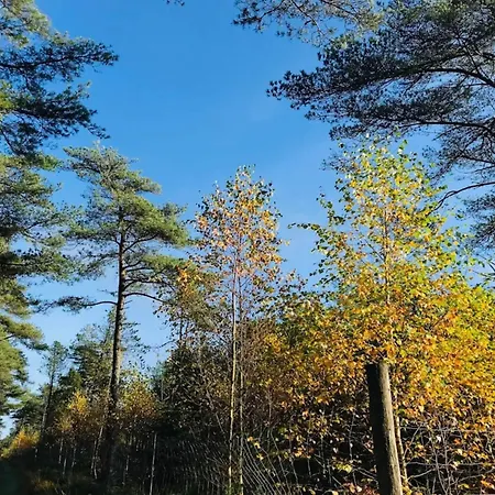 8 Person In Fjerritslev-by Traum Holiday home