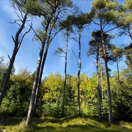 8 Person In Fjerritslev-by Traum * Torup Strand