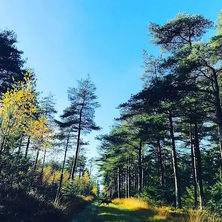 8 Person In Fjerritslev-by Traum Feriehus *