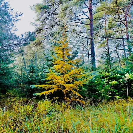 8 Person In Fjerritslev-by Traum *