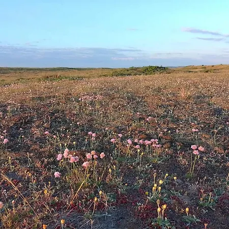 8 Person In Fjerritslev-by Traum * Torup Strand