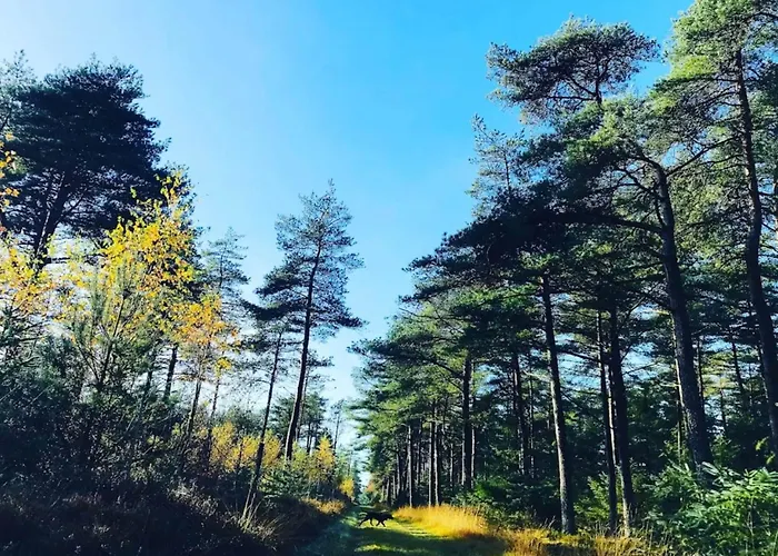 Σπίτι διακοπών 8 Person In Fjerritslev-by Traum Torup Strand