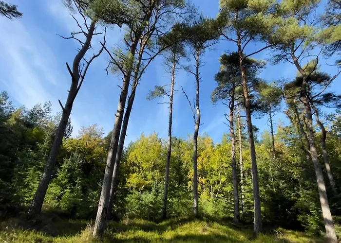 8 Person In Fjerritslev-by Traum * Torup Strand