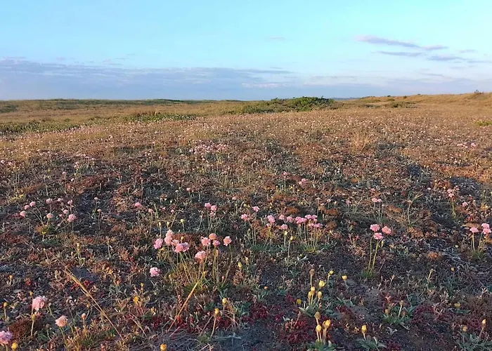 8 Person In Fjerritslev-by Traum * Torup Strand