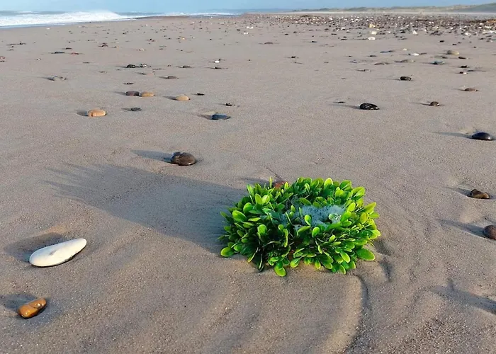 Σπίτι διακοπών 8 Person In Fjerritslev-by Traum Torup Strand